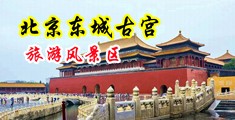 欧洲美女中国北京-东城古宫旅游风景区